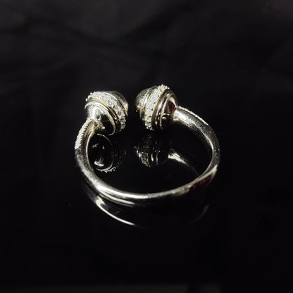 Twin Orbit