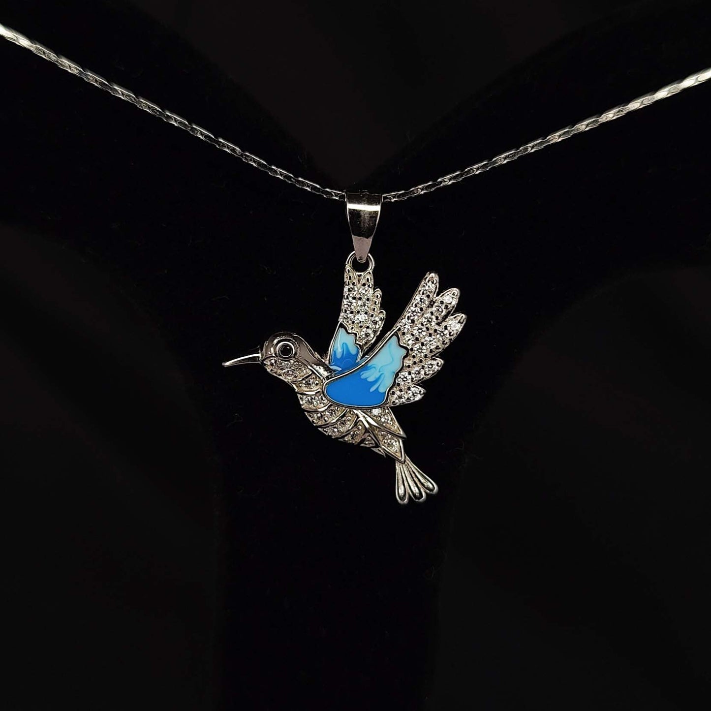 Blue Jay